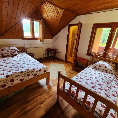 Pensiunea Susman Rachitele Bagian luar foto
