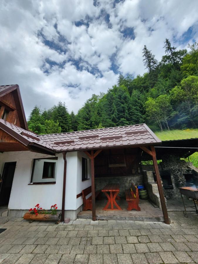 Pensiunea Susman Rachitele Bagian luar foto