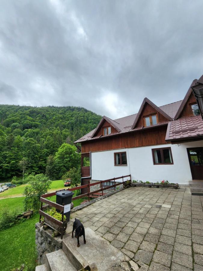 Pensiunea Susman Rachitele Bagian luar foto