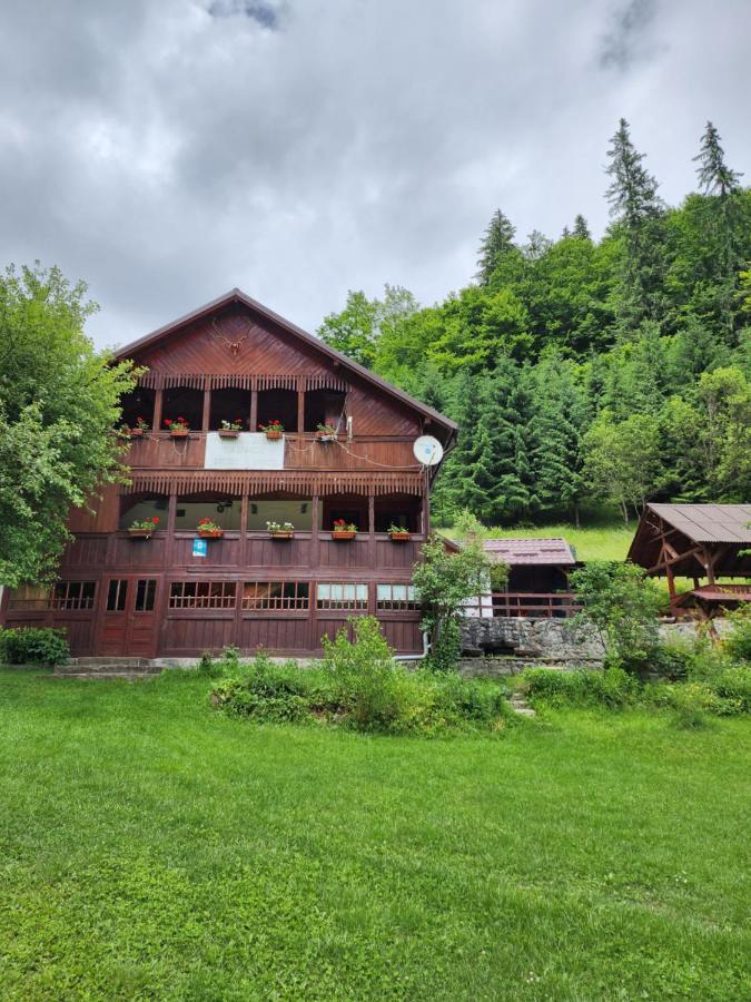 Pensiunea Susman Rachitele Bagian luar foto