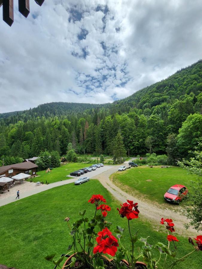 Pensiunea Susman Rachitele Bagian luar foto
