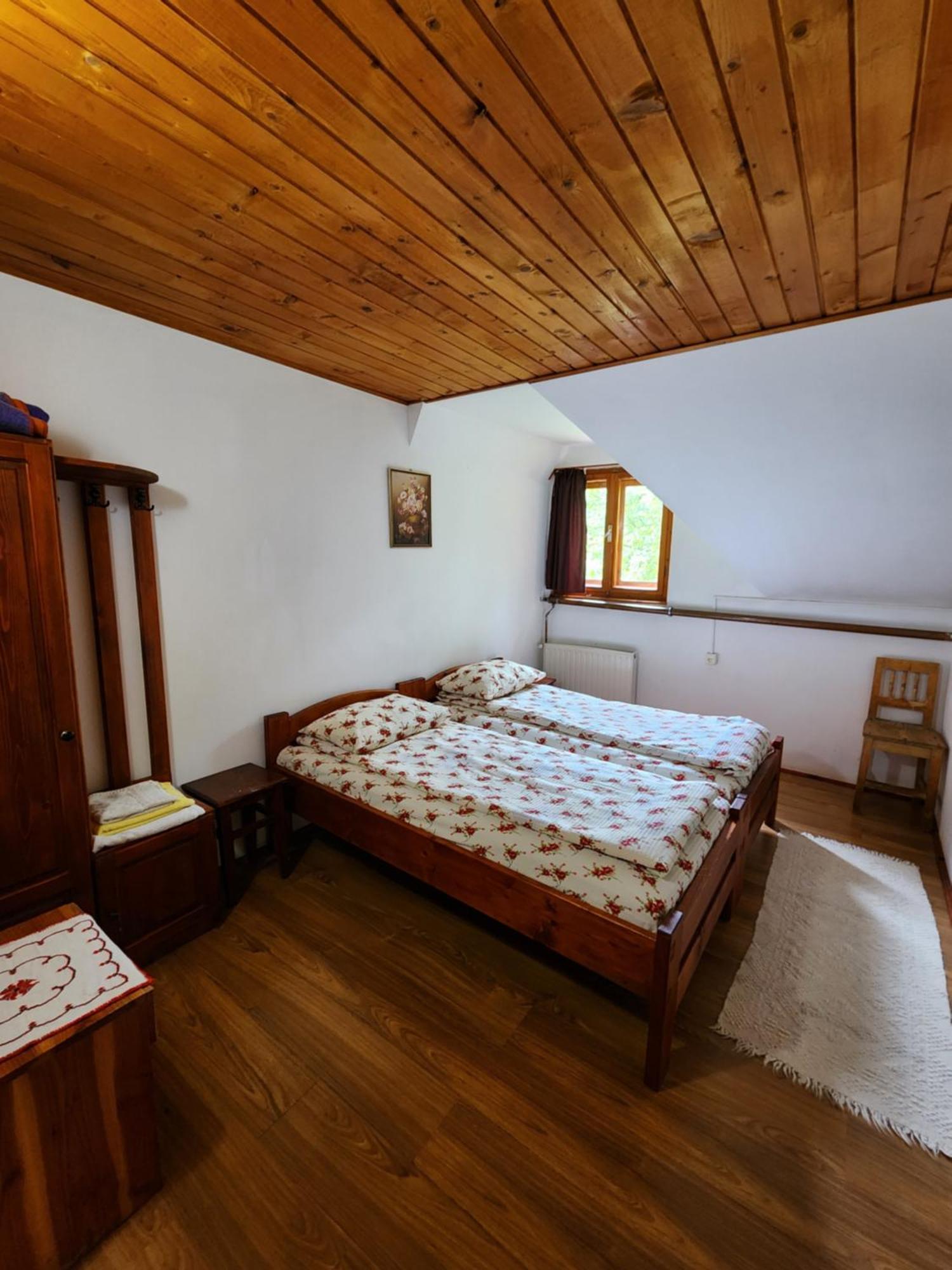 Pensiunea Susman Rachitele Bagian luar foto